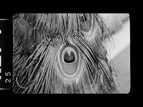 My New Band Believe - One Night (Official Music Video)