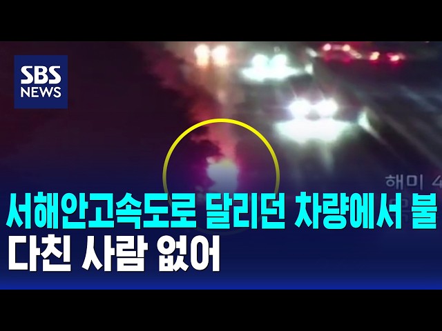 서해안고속도로 달리던 차량에서 불..다친 사람 없어 / SBS