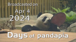 20240404 Broadcast Top Highlights 09 by pandapia HD 273 views 13 days ago 2 minutes, 56 seconds