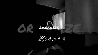 Organize-Lispo (official audio) Resimi