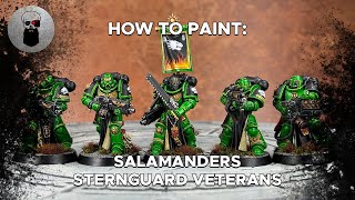 Contrast+ How to Paint: Salamanders Sternguard Veterans