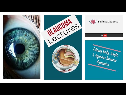 ciliary body and