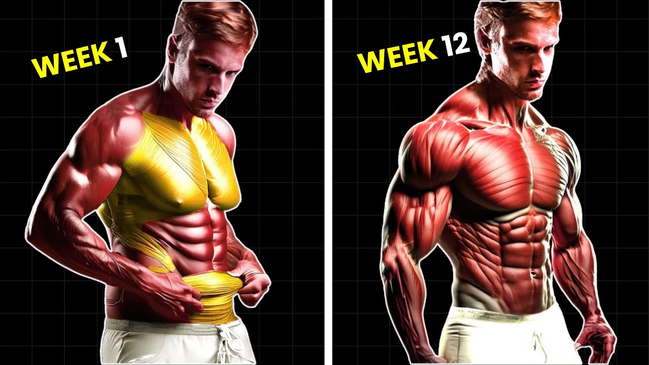 Build Muscle & Burn Fat at the Same Time – Here’s How! 🔥 - YouTube
