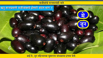 4th EVS 1 | Chapter#02 | Topic#06 | ऋतूमनाप्रमाणे सजीवांमध्ये होणारे बदल भाग १ | Marathi Medium