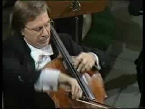 HAYDN Cello Concerto in C Major Allegro molto Noras