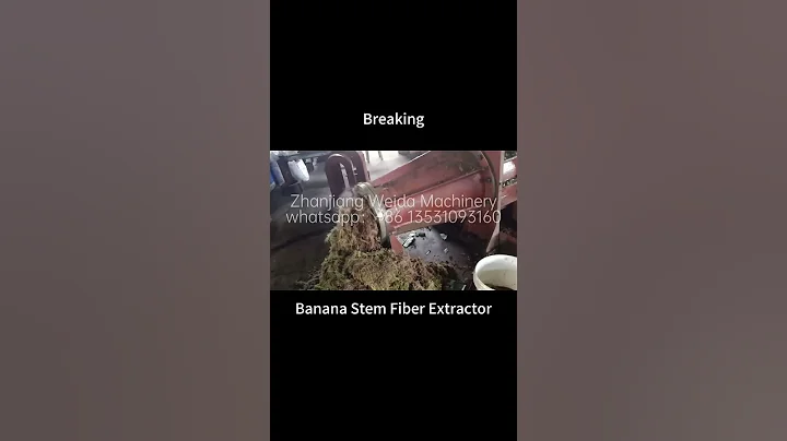 伟达机械香蕉杆粉碎机Weida Machinery Banana Stem Crusher