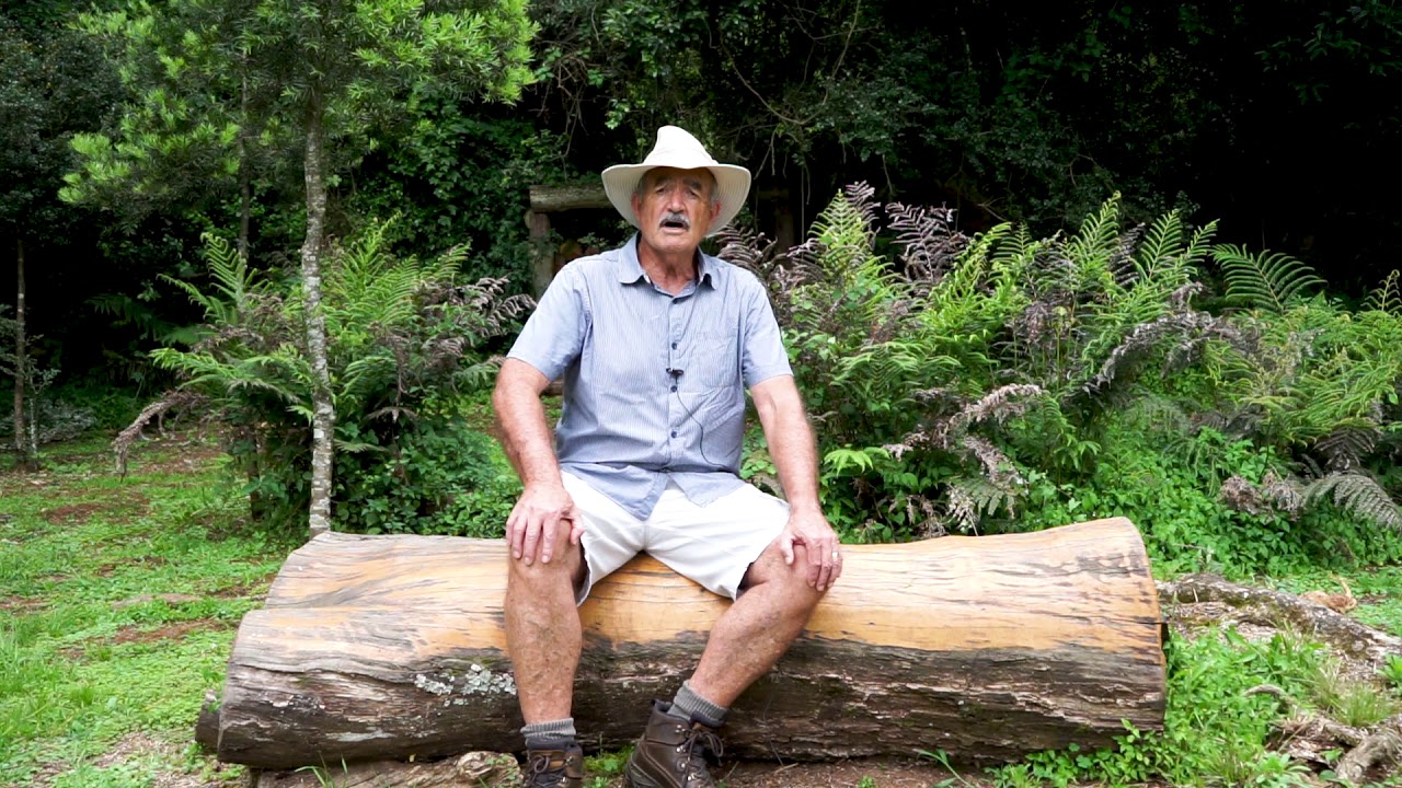 The hebrew word for grace chanah youtube