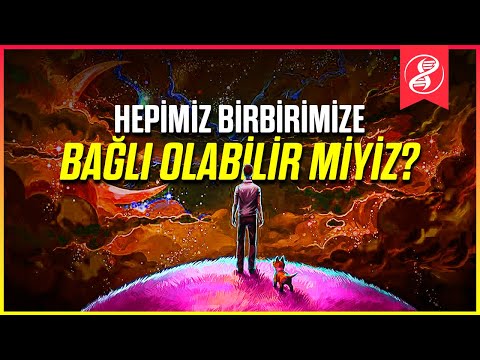 Her Şeyin Kökeni: Siz, Evrendeki Her Şeye Nasıl Bağlısınız?