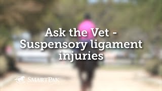 Ask the Vet - Suspensory ligament injuries screenshot 4