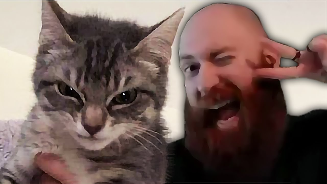 Xeno Reacts to Cats with Threatening Aura