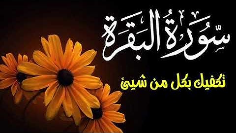 سورة البقرة Surah Al baqara سبحان من خلق هذا الصوت تلاوة فاقت الوصف لزيادة الرزق ولحفظ وتحصين البيت🌹