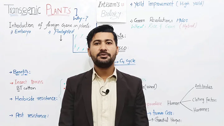 Transgenic Plants | Uses and benefits of transgenic Plants | Fsc class 12 Biology 2nd year - DayDayNews