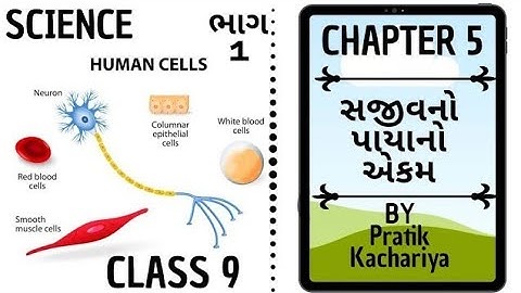 ભાગ 1॥ વિજ્ઞાન ॥ સજીવનો પાયાનો એકમ ॥Science ॥ Std 9 ॥ Chapter 5 ॥ Fundamental Unit Of Life ॥ NCERT