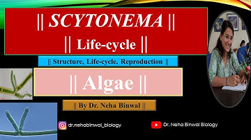 Scytonema Lifecycle || Dr. Neha Binwal || B.Sc M.Sc UPSC Botany || #upsc #algae #lifecycles #botany