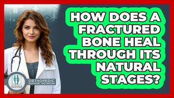 How Does A Fractured Bone Heal Through Its Natural Stages? - Orthopedic Support Network