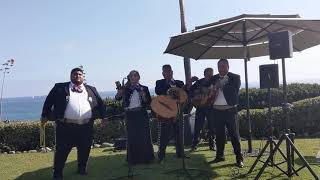 Video thumbnail of "VEREDA TROPICAL - MARIACHI TORO DE SAUL REYNOSO"