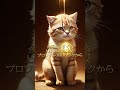 ※宇宙猫があなたの金運を爆上げします ■フォローで金運が爆上がり