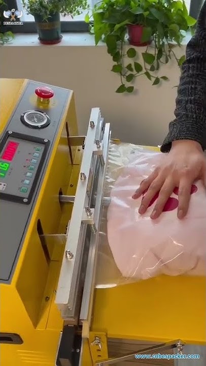 Bespacker DZQ-500TE Pillow vacuum packer SQ1366-075 - YouTube