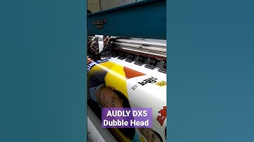Audley Dx5 dubble Head printer