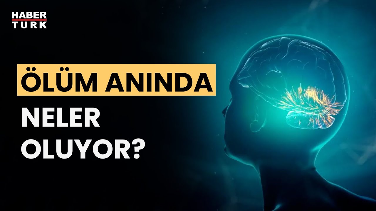Beyin ölüm anını nasıl algılıyor? Prof. Dr. Derya Uludüz yanıtladı