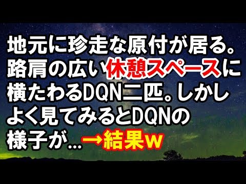 【スカッとする話】地元に珍走な原付が居る。路肩の広い休憩スペースに横たわるDQN二匹。しかしよく見てみるとDQNの様子が...→結果ｗ【スカッと侍】