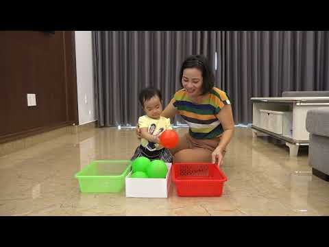 Dạy trẻ: Những quả bóng xinh Độ tuổi : 18- 24 tháng