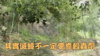 1030418廚房洗潔濟滅蟑的方法