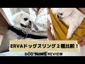 ERVA（エルバ）スリング２種を比較！｜アベルトABERTOとシンプルSIMPLE｜中目黒でカフェにお出かけ #ペキニーズ
