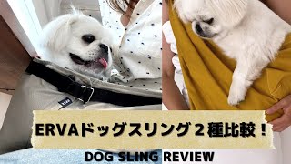 ERVA（エルバ）スリング２種を比較！｜アベルトABERTOとシンプルSIMPLE｜中目黒でカフェにお出かけ #ペキニーズ