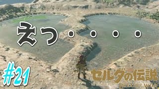 【ゼルダの伝説 ブレス オブ ザ ワイルド】#21 初見プレイ【運命の人に逢える？池/力の試練中位】Switch