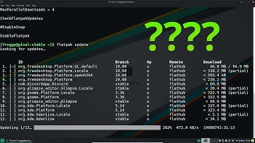 flatpak update going nuts