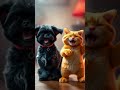 Watch Dutchy Garfield S Epic Dance Moves рџ єрџ ѓ Dog CatDanceChallenge Watch Dutchy Garfield S Epic Dance Moves рџ єрџ ѓ Dog CatDanceChallenge