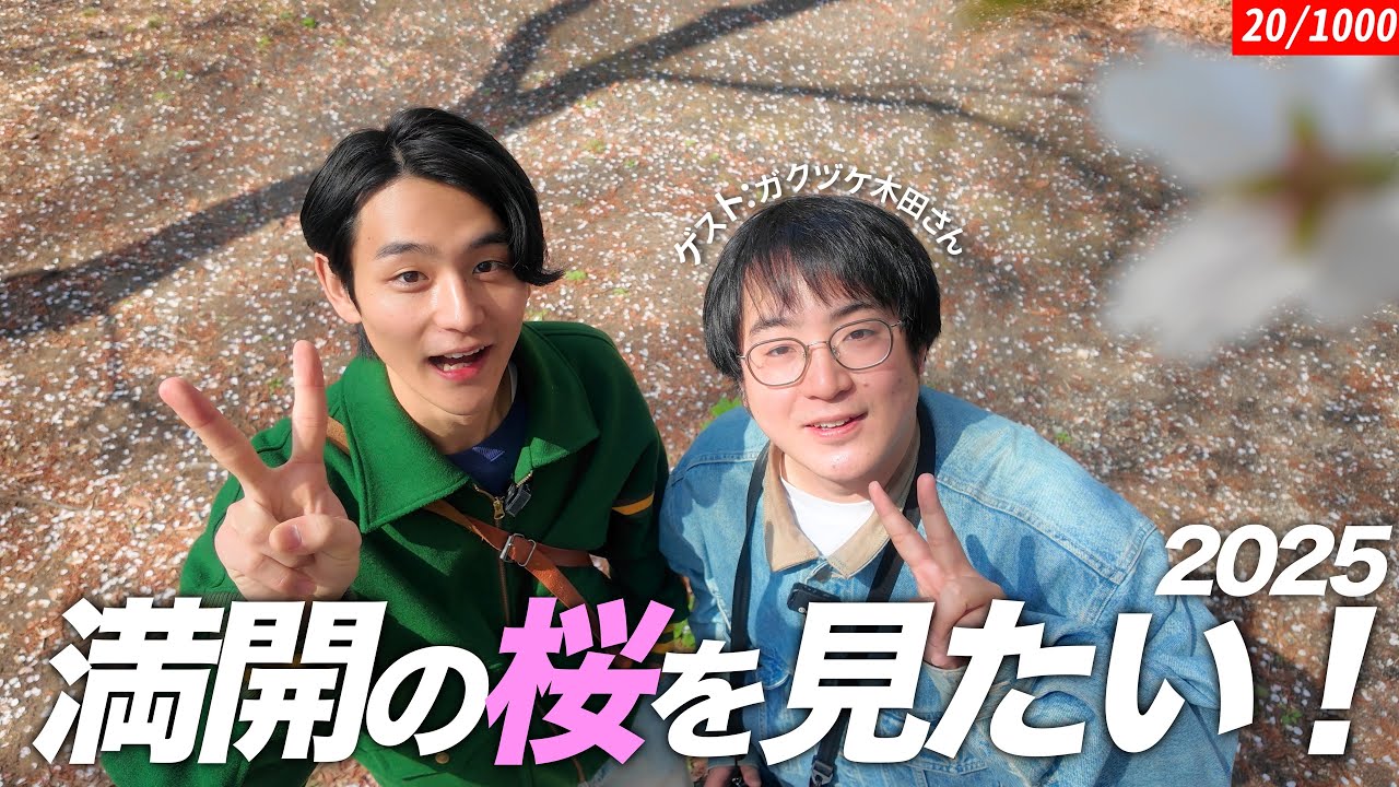 皆さんと同様、2025年も桜をしっかり見ました！【ゲスト:ガクヅケ 木田さん】【吉祥寺】