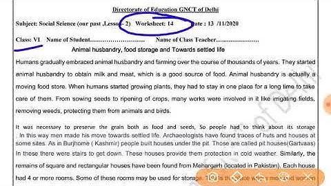 WORKSHEET 14 class 6 ;SOCIAL SCIENCE ENGLISH MEDIUM (FRIDAY) : 13/11/ 2020 : DOE WORKSHEET 6 class 6