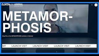 Metamorphosis Exhibition Virtual Visit