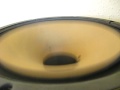 Vintage 12" Woofer Bass Test - 360 Hz - 10 Hz Silicon Sound System