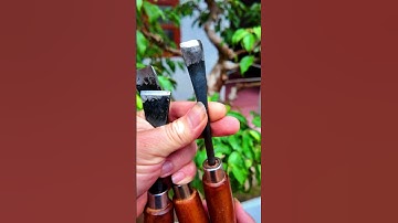 Bộ 3 mũi đục Cây cảnh, bonsai #bonsaishop