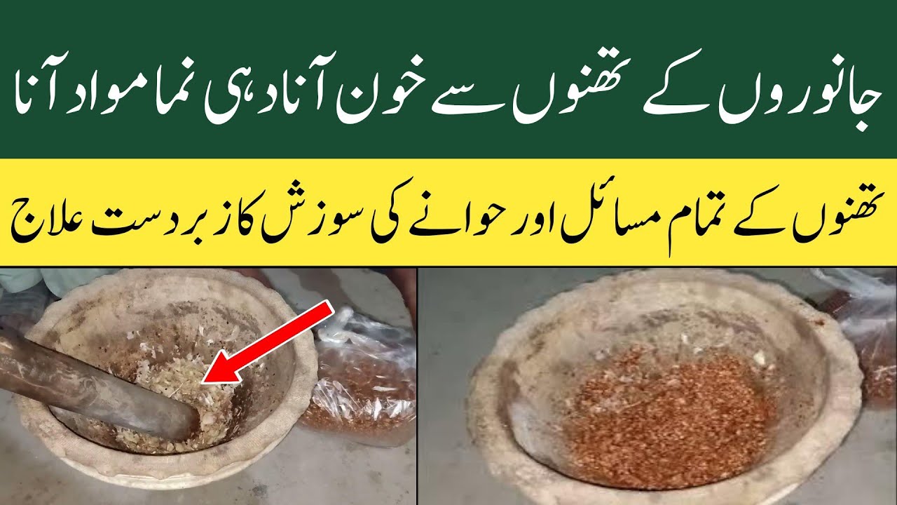 Thunno Mein Khoon Aana | Dahi Numa Doodh Aana | Hawana Mein Sozish Ka ...