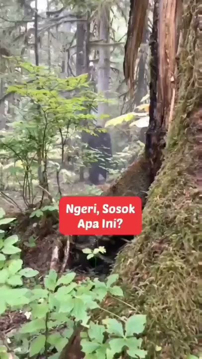 #VIRAL NGERI SOSOK APAN INI....?❗ #PENAMPAKAN ASLI, SAAT  MENDAKI GUNUNG ❗❗