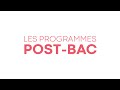 Les programmes postbac  kedge bachelor ibba ebp