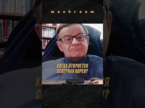 Ланьков о контроле в Северной Корее || #СевернаяКорея #Корея #Пхеньян #КНДР