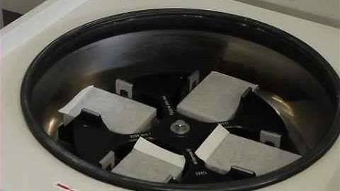 HTP Quantitative Expression Screening and Purification of proteins Produced in E. coli