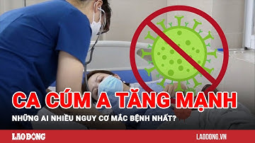 Số ca cúm A tăng mạnh, những ai nhiều nguy cơ mắc bệnh nhất? | Báo Lao Động