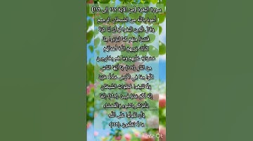 سورة البقرة من الآية ١٦٧ إلى الآية ١٦٩