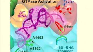 Nobel Laureate Lecture:  Dr. Venkatraman 