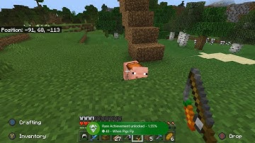 Minecraft Bedrock Achievement Guide : When Pigs Fly