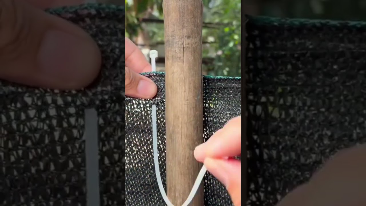 YouTubeでTying plastic nets on bamboo wood with zip ties to shield the garden from harsh sunlight effectivelyを視聴 YouTubeでTying plastic nets on bamboo wood with zip ties to shield the garden from harsh sunlight effectivelyを視聴