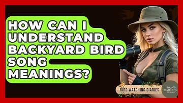 How Can I Understand Backyard Bird Song Meanings? - Bird Watching Diaries