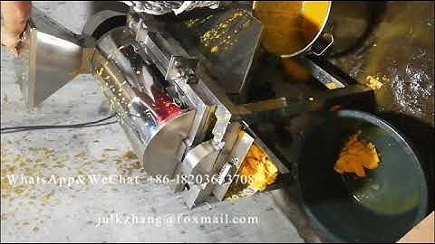 mango pulp machine/ mango puree machine