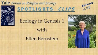 Famous Spotlights Clips, 2.38, Ecology in Genesis 1, with Ellen Bernstein Profile